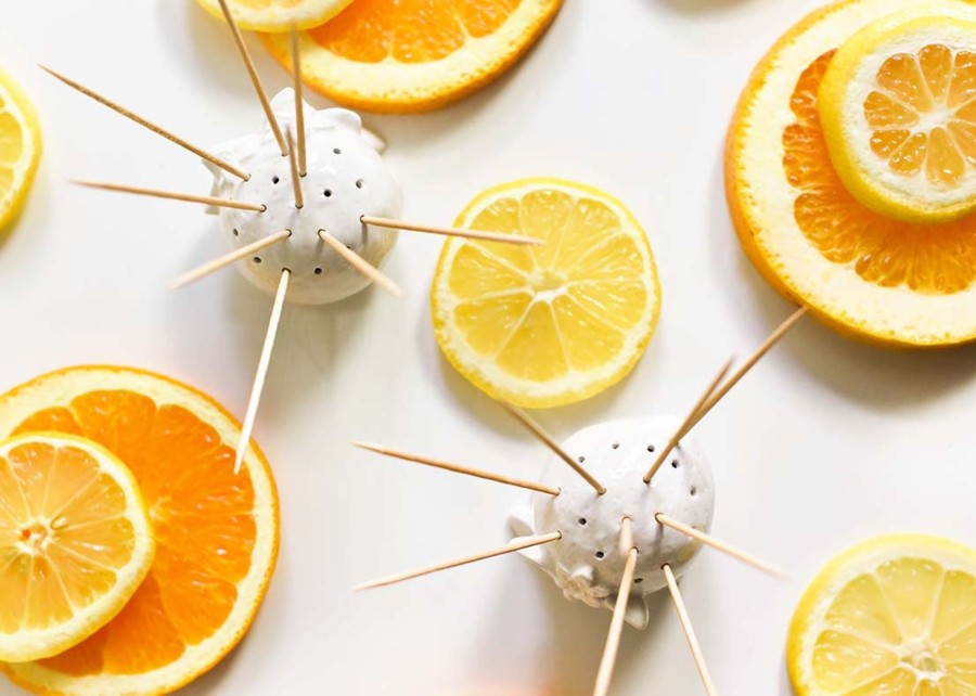 Shop All Serveware & Entertaining | Coton Colors by Laura Johnson Citrus Orange Toothpick Holder